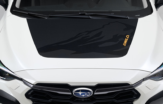 <sg-lang1>Защитно фолио за предния капак</sg-lang1><sg-lang2></sg-lang2><sg-lang3></sg-lang3>