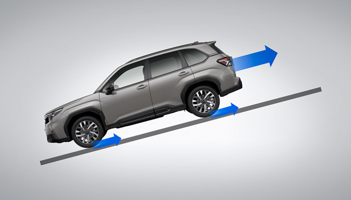 <sg-lang1>Hill Descent Control / Управление на спускането по наклон</sg-lang1><sg-lang2></sg-lang2><sg-lang3></sg-lang3>